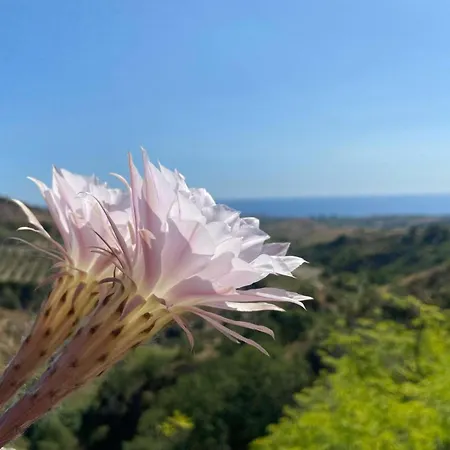דירה La Casa Del Sole *
