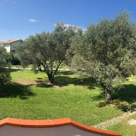 La Casa Del Sole סנט'אנדראה אפוסטולו דלו איוניו