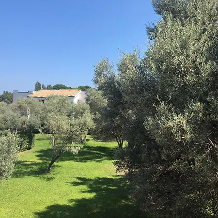La Casa Del Sole דירה *